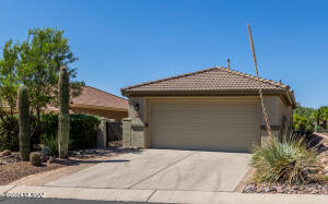 13581 N Holly Grape