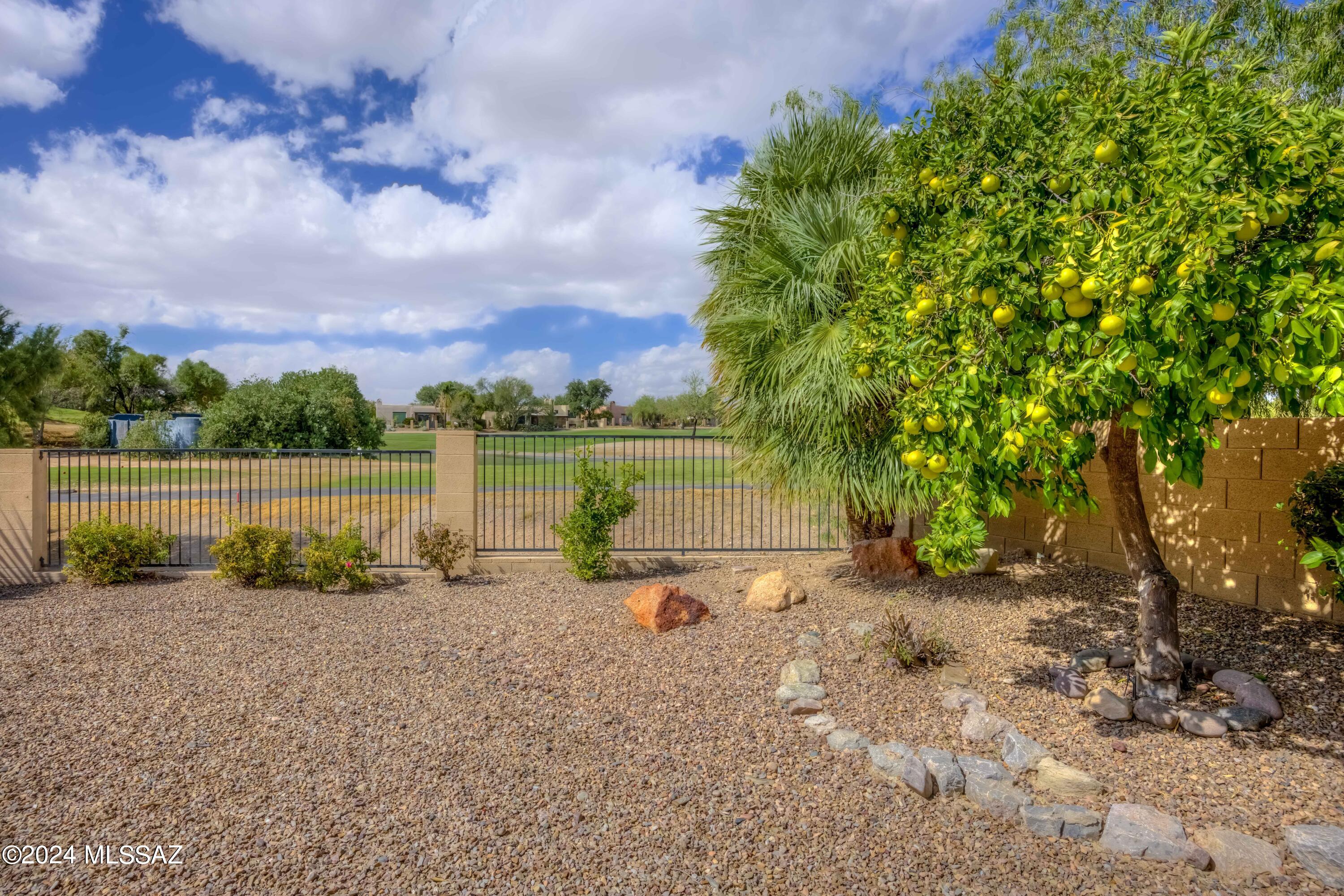 11321 N Palmetto Dunes – photo