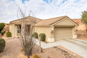 13497 N Holly Grape