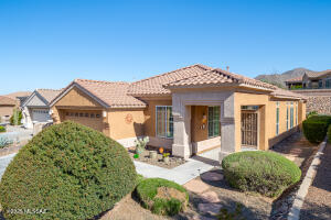 13544 N Buckhorn Cholla