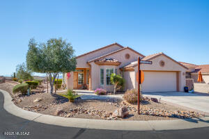 13529 N Buckhorn Cholla