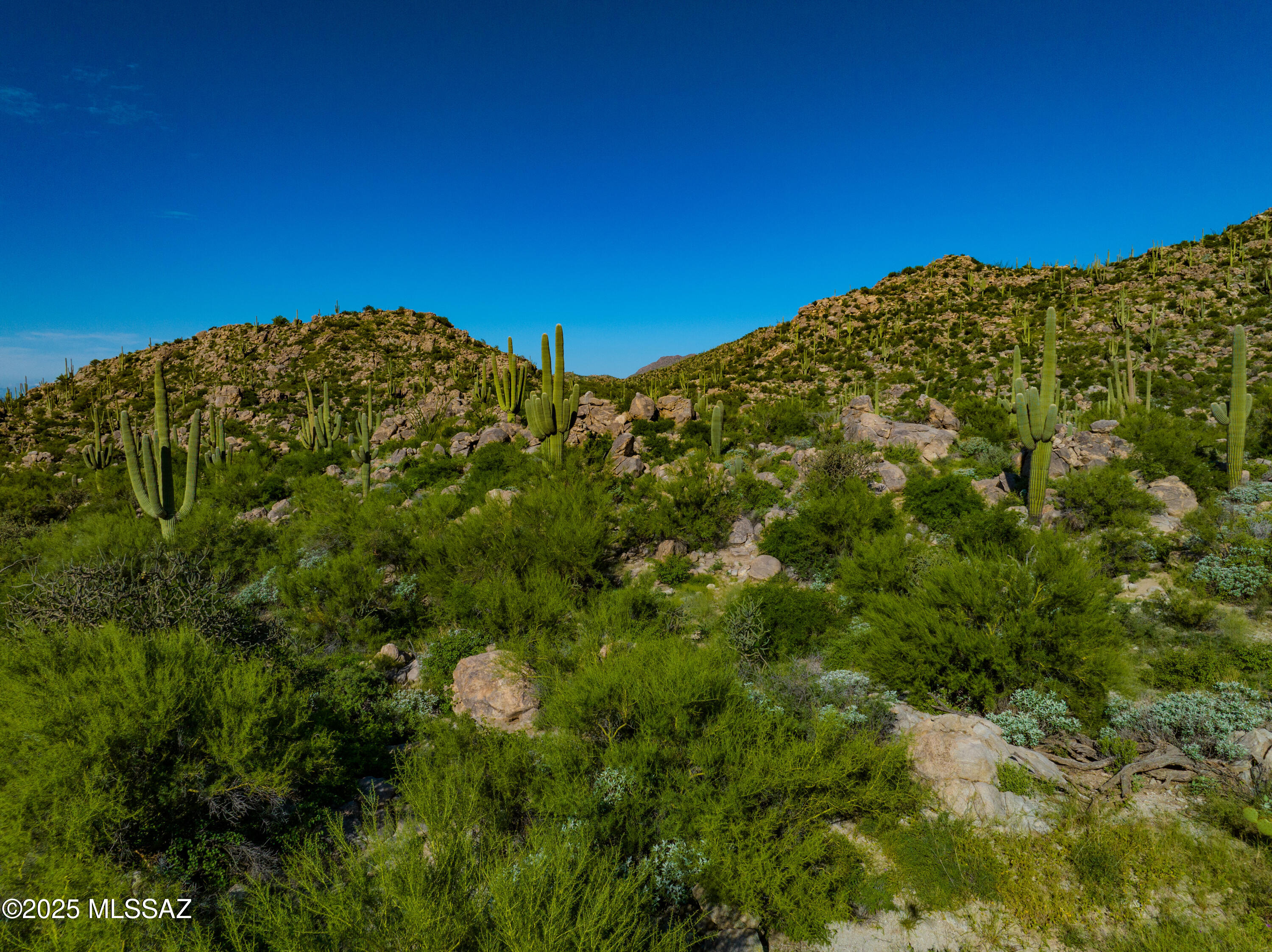 14934 N Slippery Ridge Lot 419 N – photo