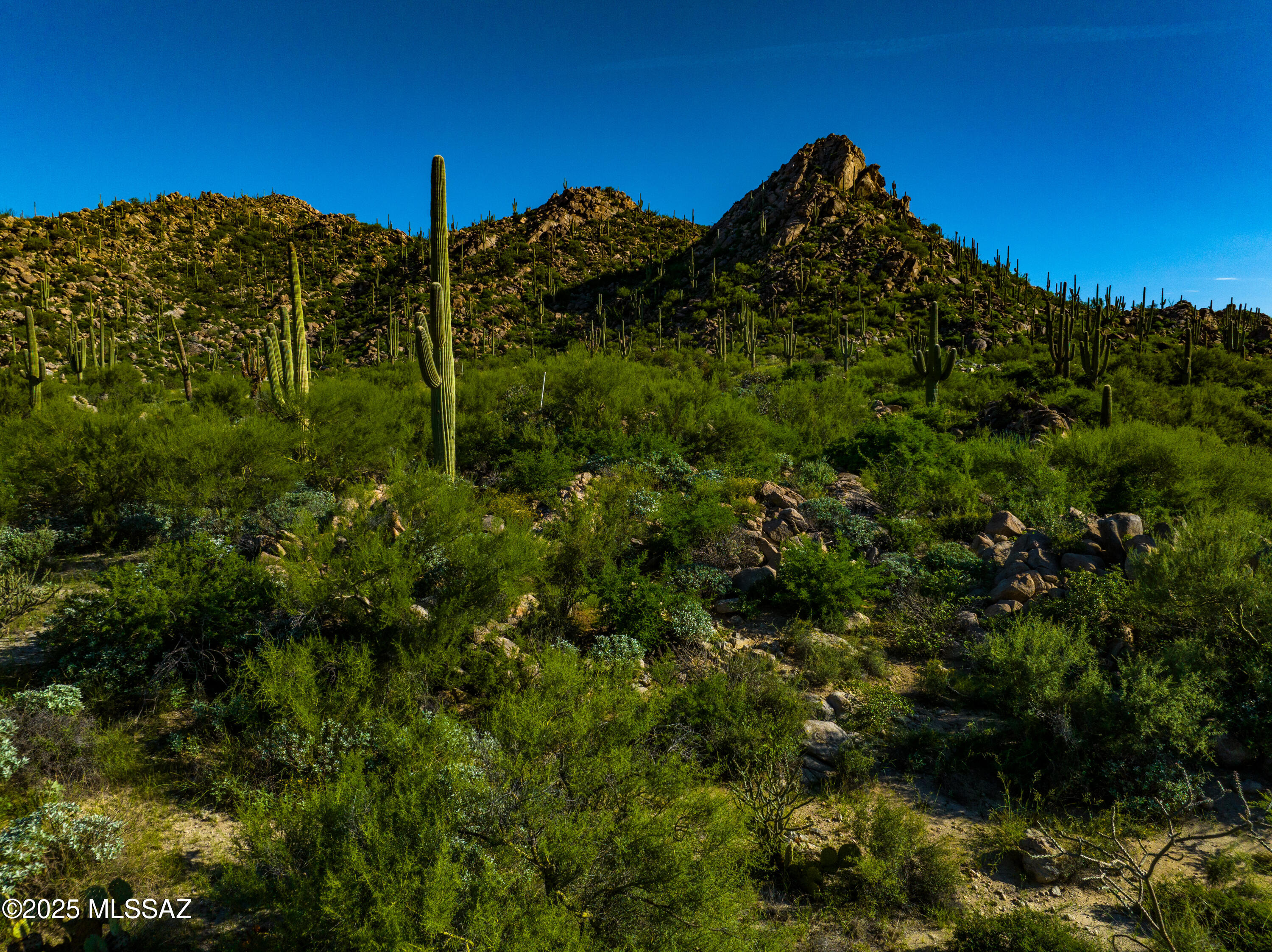 14934 N Slippery Ridge Lot 419 N – photo