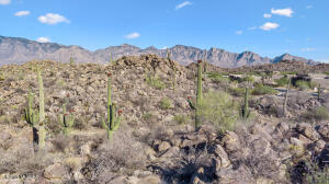 1429 W Tortolita Mountain Ci 469 W Circle
