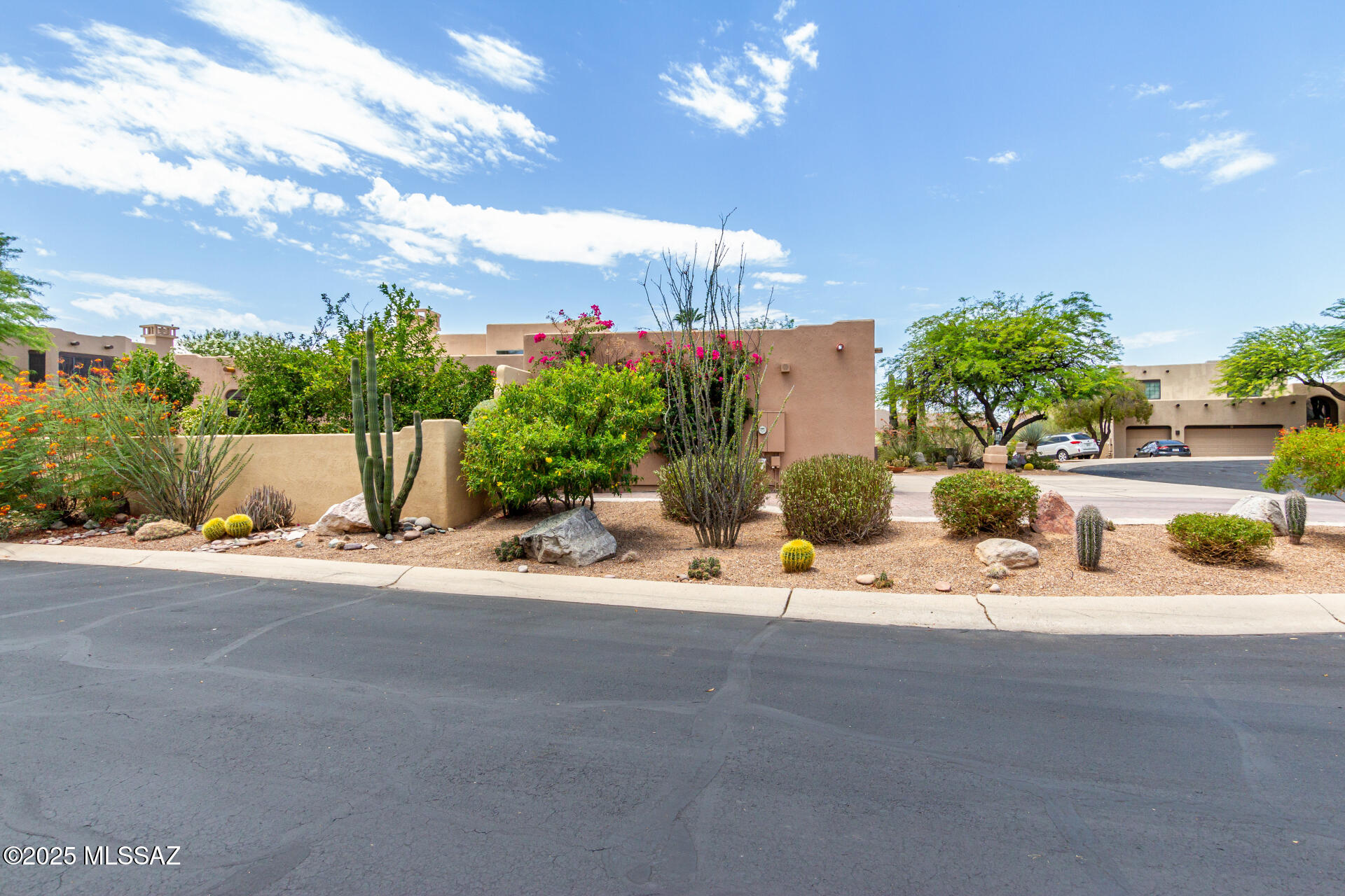 1851 W Desert Forest – photo