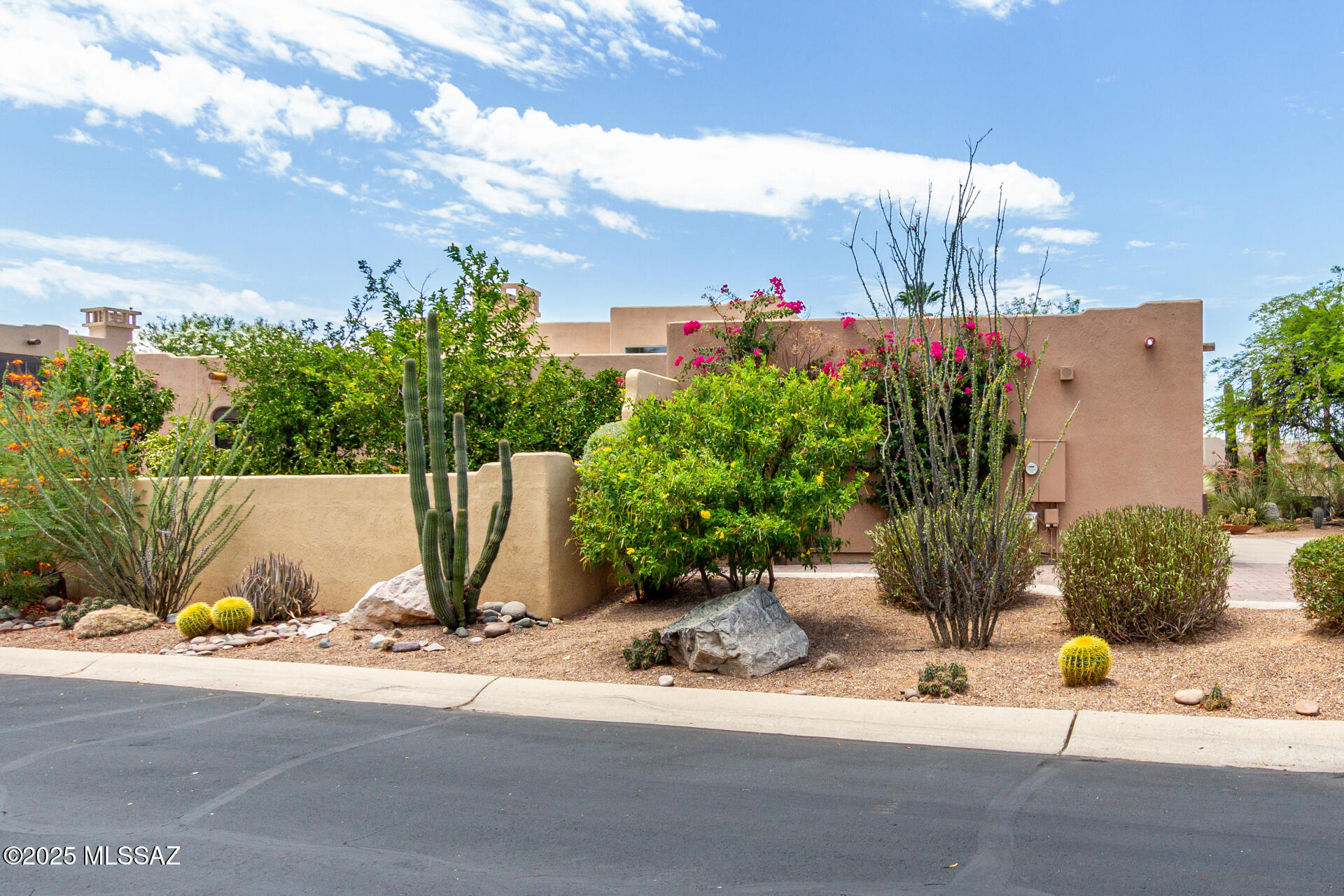 1851 W Desert Forest – photo