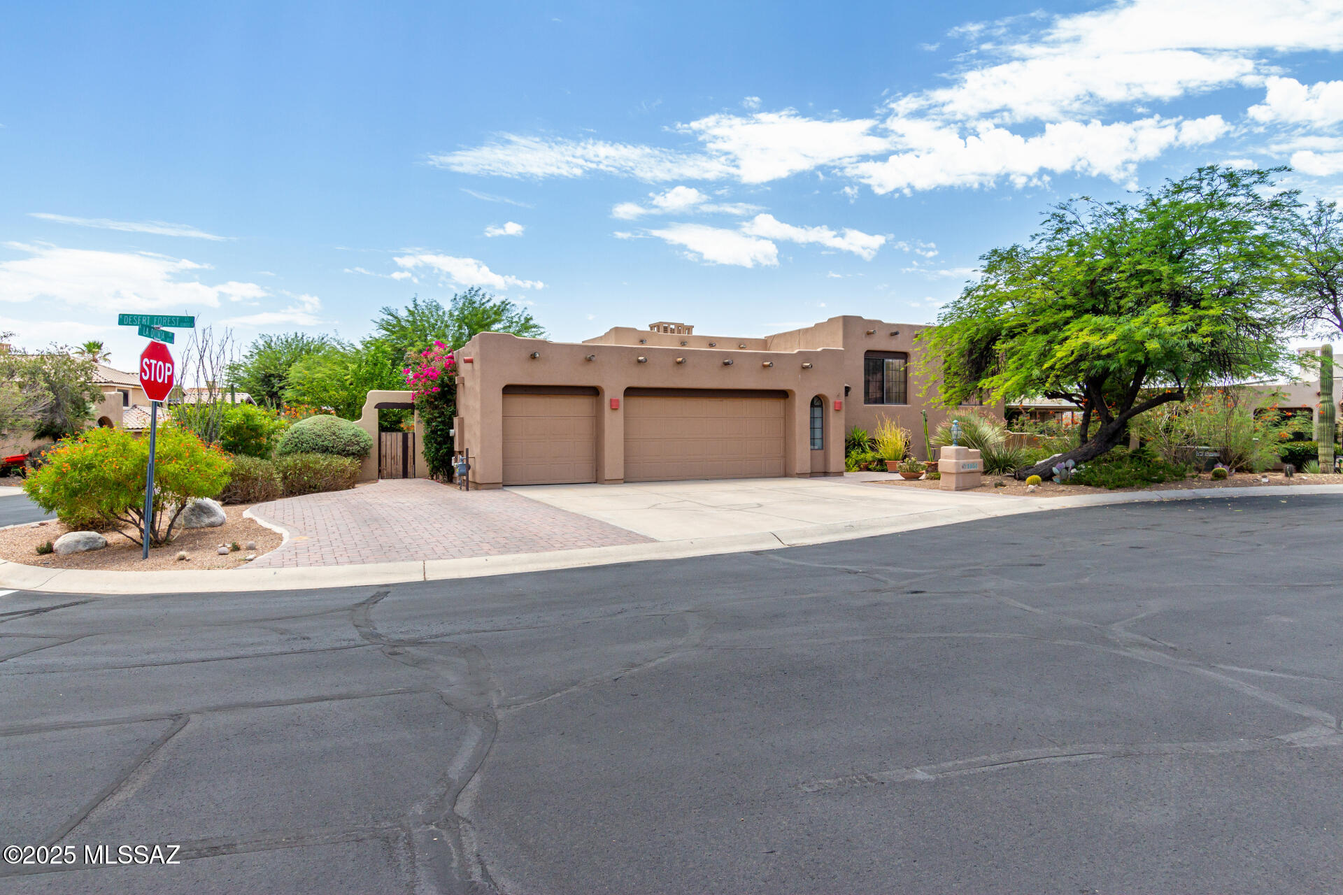 1851 W Desert Forest – photo