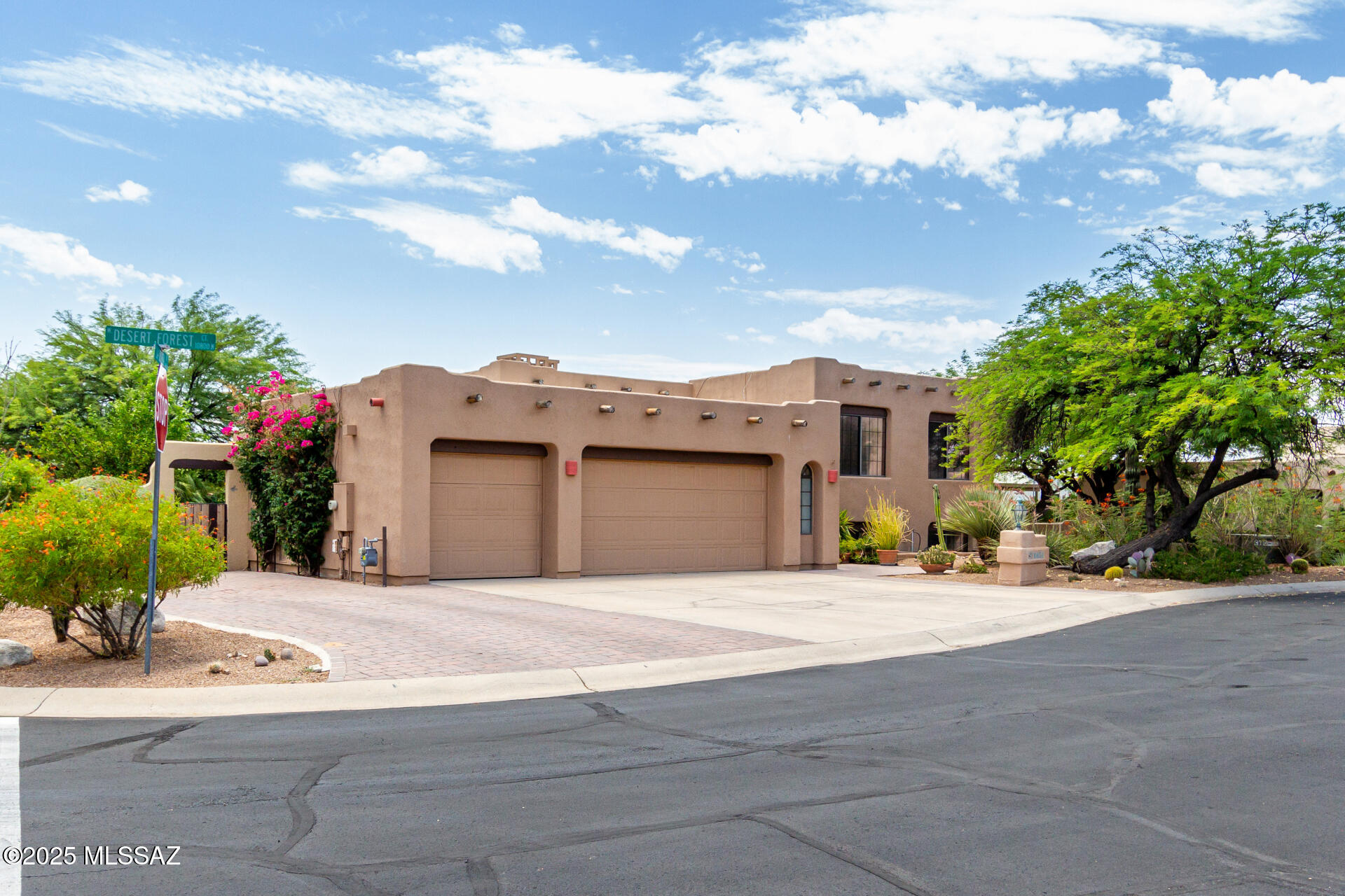 1851 W Desert Forest – photo