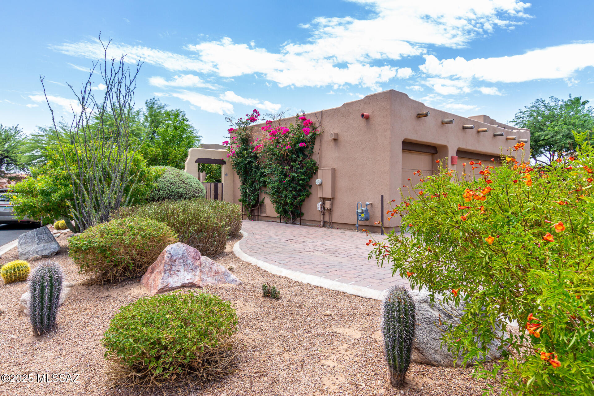 1851 W Desert Forest – photo